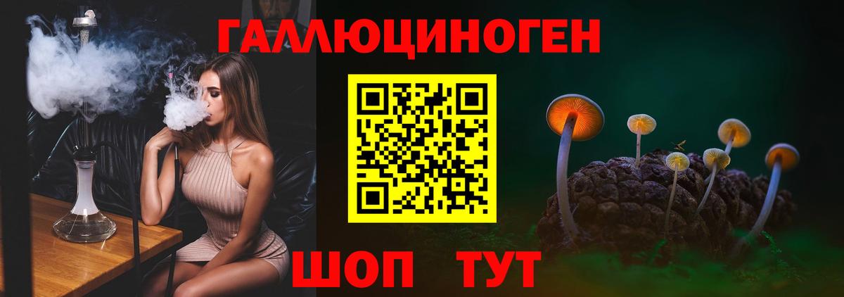 Краснокаменск  Псилоцибиновые грибы Psilocybe  Вход с VPN 